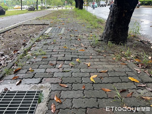 ▲台南市議員李啟維和地方里長長期爭取之下，健康路3段兩旁人行步道，有望2024年動工改善，還給用路人和地方一個更好的環境。（圖／記者林東良翻攝，下同）