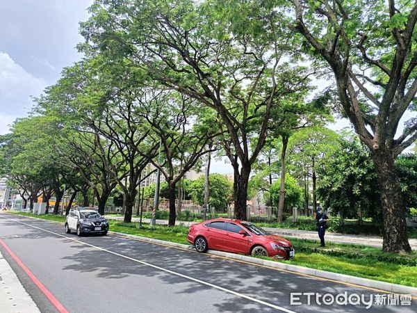 ▲黃姓女駕駛開車闖入輕軌軌道。（圖／翻攝自記者爆料網）