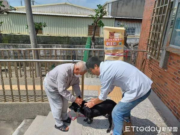 ▲哭了！以為「貓都沒出門免打疫苗」，女鏟屎官慘收3萬罰單。（圖／台中市動保處提供）