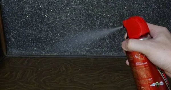 許多人害怕蟑螂，巴不得這類昆蟲消失在這世界上。（示意圖／翻攝自photoAC）