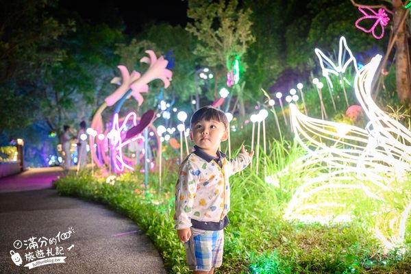 ▲▼大古山登山步道公園夏日繽紛派對 最新點燈活動時間　欣賞城市燈海，來趟森林裡的奇幻旅程。（圖／部落客滿分提供）