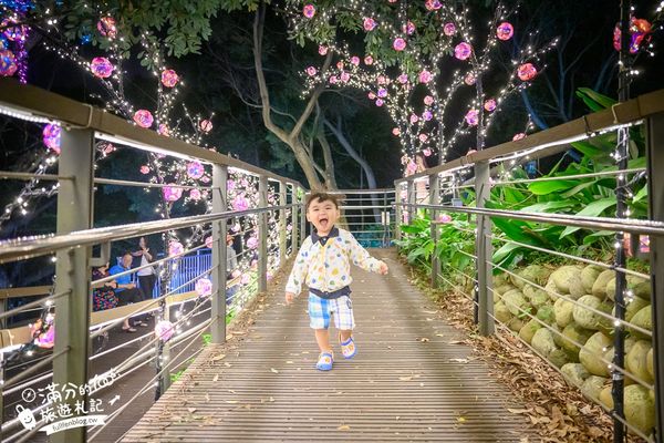 ▲▼大古山登山步道公園夏日繽紛派對 最新點燈活動時間　欣賞城市燈海，來趟森林裡的奇幻旅程。（圖／部落客滿分提供）