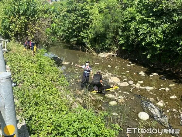 ▲▼高雄女果園除草跌落3公尺深水溝　頭部擦傷救起後送醫。（圖／記者吳世龍翻攝）