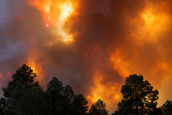 ▲▼美國新墨西哥州18日面臨2場野火同時燃燒，被命名為South Fork Fire與Salt Fire，而位處中間的魯伊多索村（Ruidoso）備受威脅。（圖／路透）