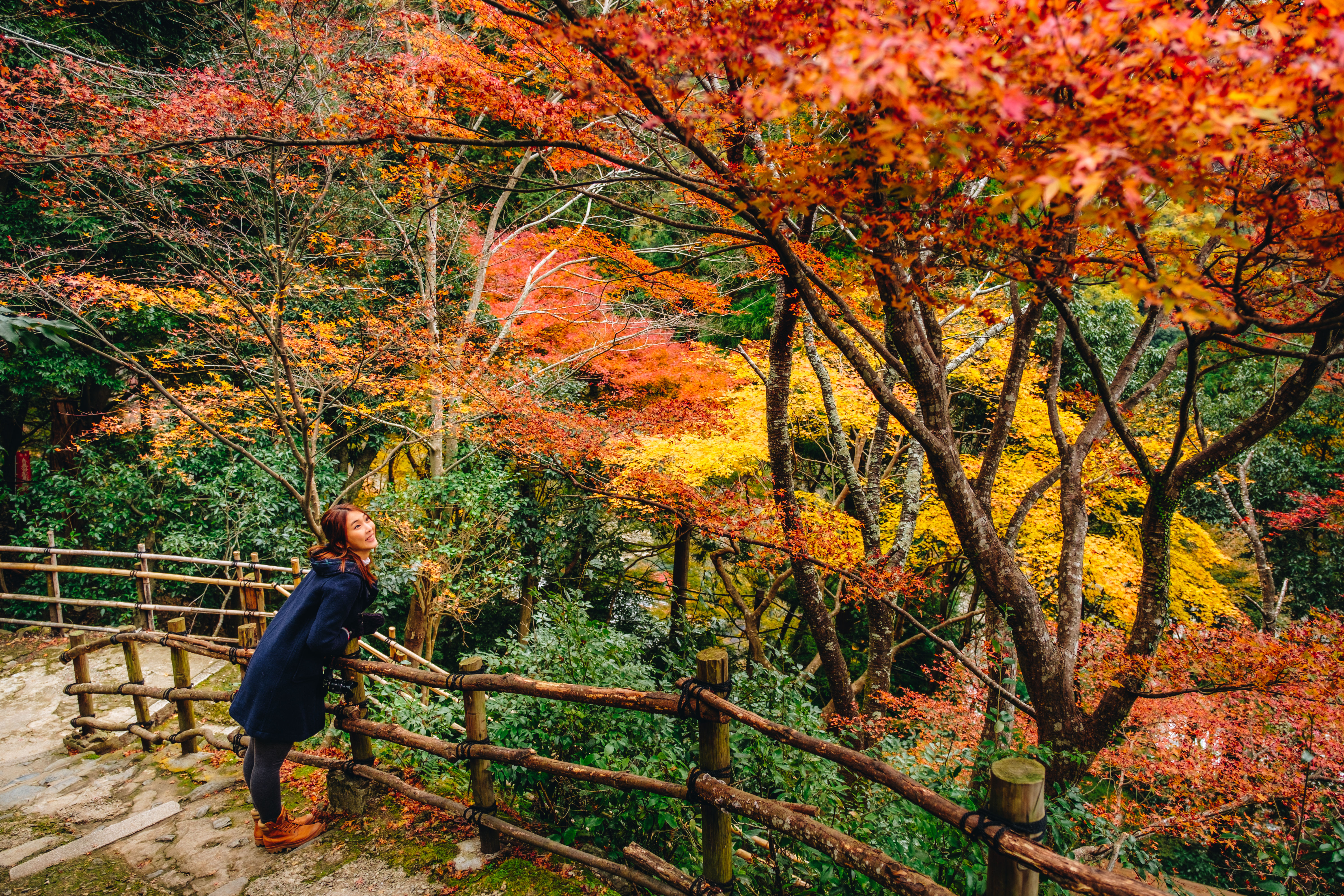 ▲▼楓紅最前線！一次搞懂日本紅葉季怎麼玩。（圖／業者提供）