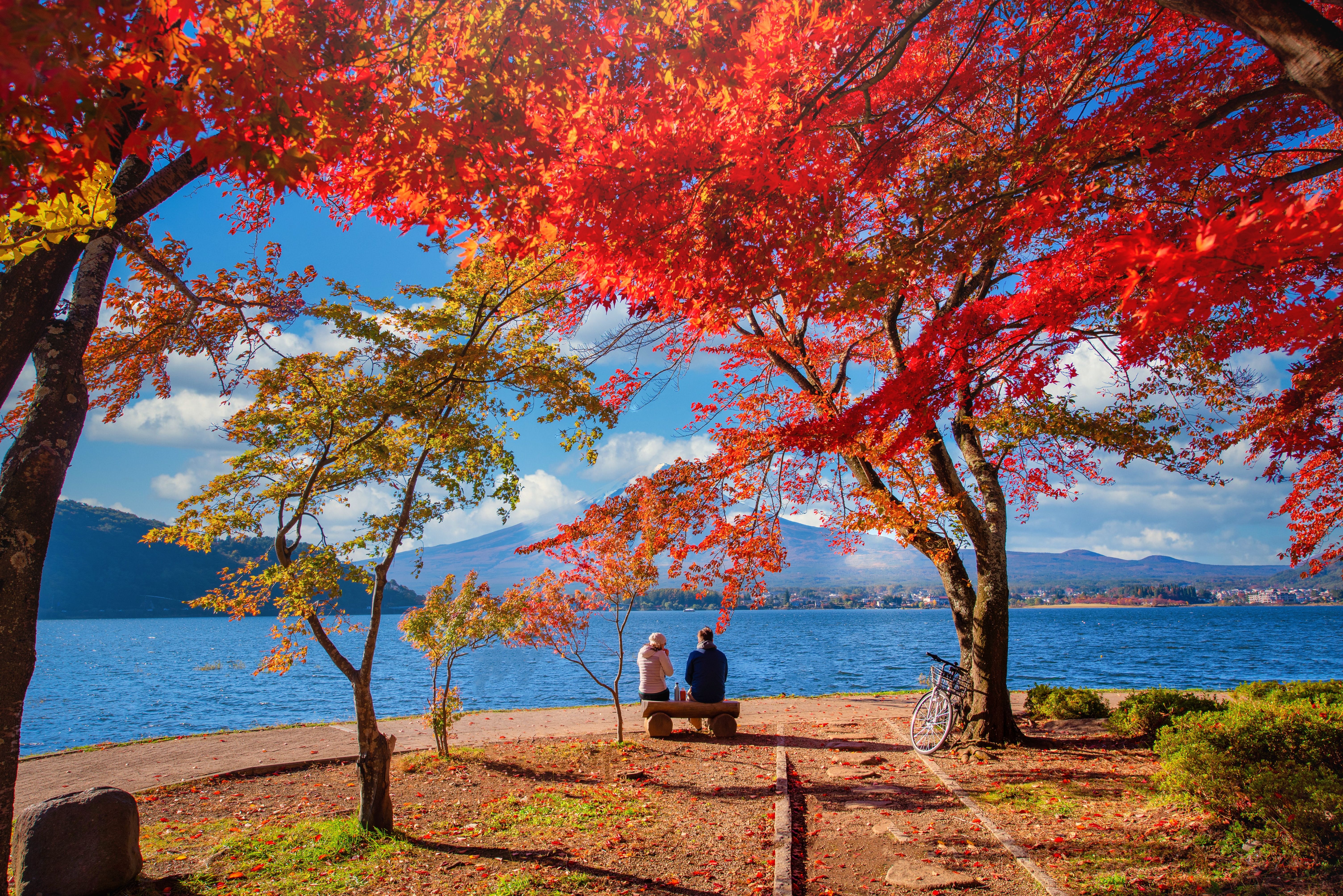 ▲▼楓紅最前線！一次搞懂日本紅葉季怎麼玩。（圖／業者提供）