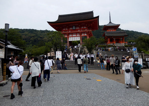 ▲▼日本旅遊。（圖／路透）