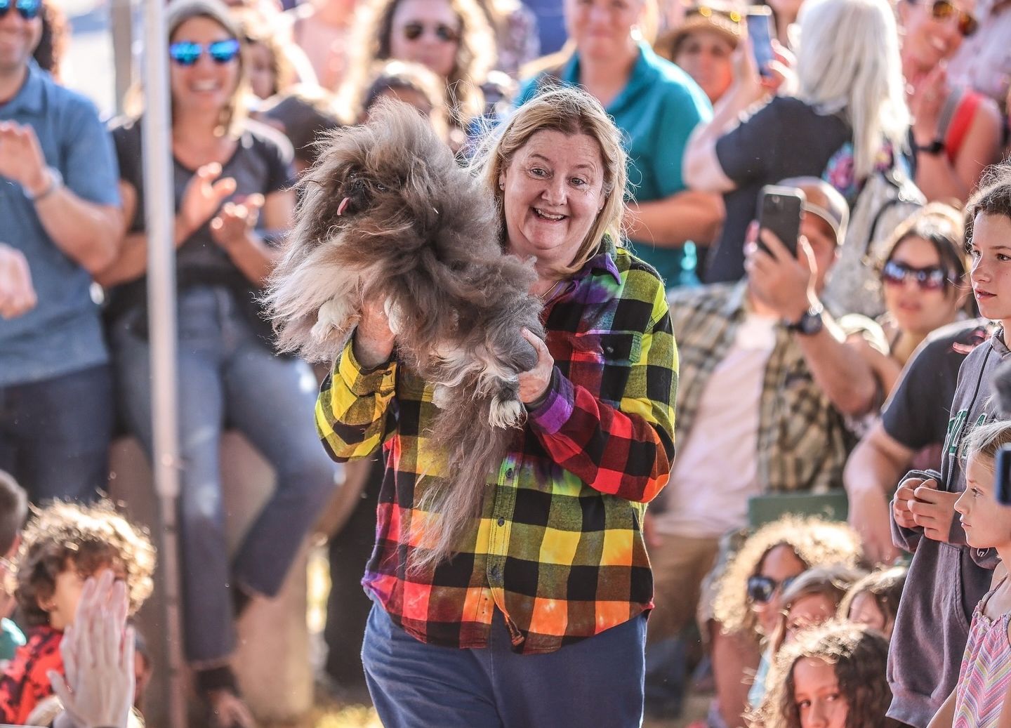 ▲▼ 美國加州索諾馬-馬林縣博覽會的「世界最醜狗狗比賽」由8歲獅子狗「狂野譚」奪冠。（圖／翻攝自臉書）