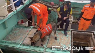 漁船行跡詭異！緝毒犬嗅出密艙藏走私菸　查獲23萬包市值1500萬