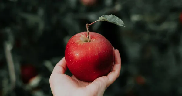 一名患者為養生而天天吃蘋果，卻因不清洗表皮而「血中農藥超標」。（示意圖／翻攝自unsplash）