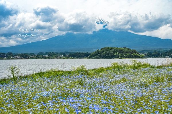 ▲▼富士山一日遊懶人包。（圖／部落客周花花提供）