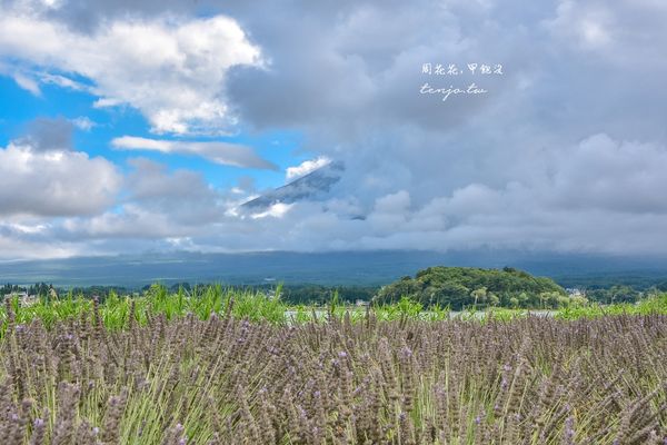 ▲▼富士山一日遊懶人包。（圖／部落客周花花提供）