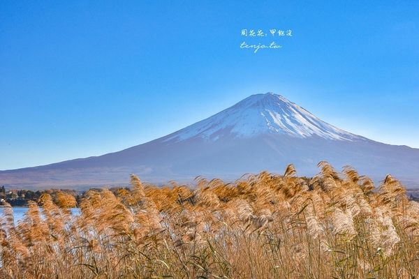 ▲▼富士山一日遊懶人包。（圖／部落客周花花提供）