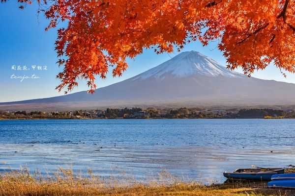 ▲▼富士山一日遊懶人包。（圖／部落客周花花提供）