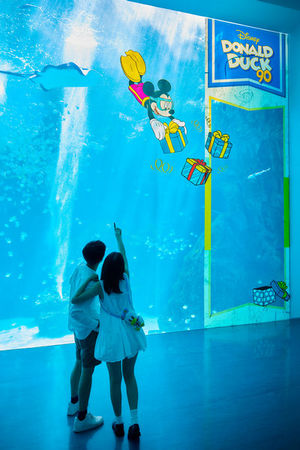 ▲迪士尼首度跨界日系水族館，慶唐老鴨90生日