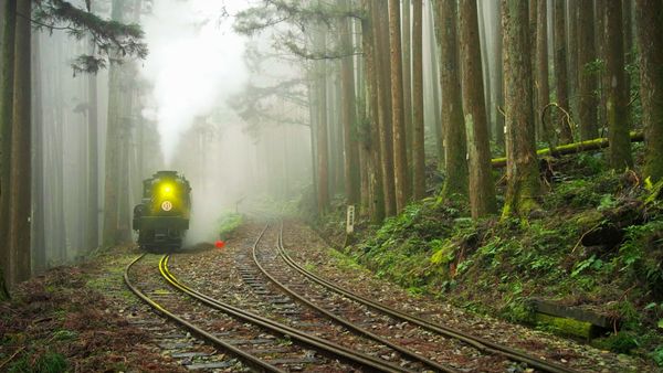 《神木之森：阿里山森林鐵道紀行》呈現屏遮那站至二萬平站封閉路段，展示林鐵分道工法。（公視提供）