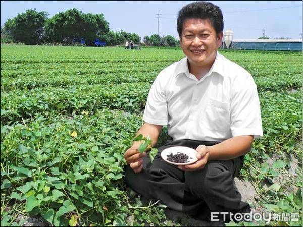 ▲茶農曾崇恩研發「地瓜葉茶」，花10年賣5棟房製成。（圖／曾崇恩提供）