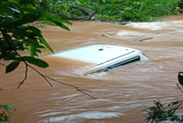靠Google maps導航上路　「車子被河流沖走」2男神奇卡大樹獲救。（圖／翻攝自X）