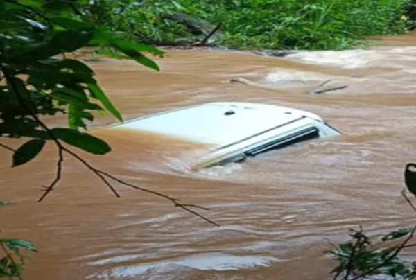 靠Google maps導航上路　「車子被河流沖走」2男神奇卡大樹獲救。（圖／翻攝自X）