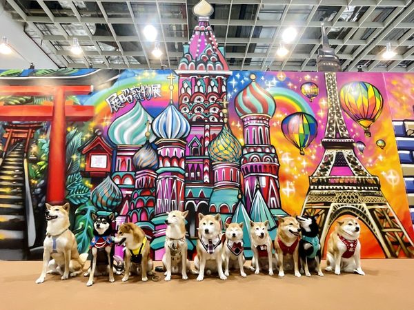 東森寵物參加台北寵物展。（圖／東森寵物提供）