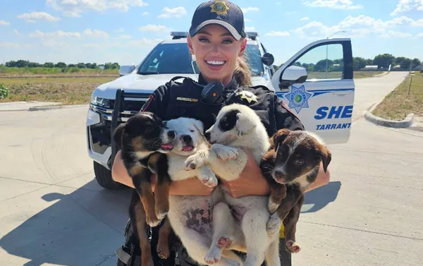 38度高溫被鎖在廢棄車上　女警緊急「救出8隻小奶狗」畫面曝光。（圖／翻攝自Facebook／Tarrant County Sheriff`s Office ）