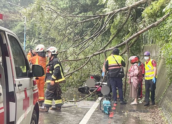 ▲桃園市龜山區萬壽路今天傍晚大雨造成土石鬆動，路樹下滑壓傷路過2名騎士，龜山警方與消防人員據報到場處理。（圖／龜山警方提供）