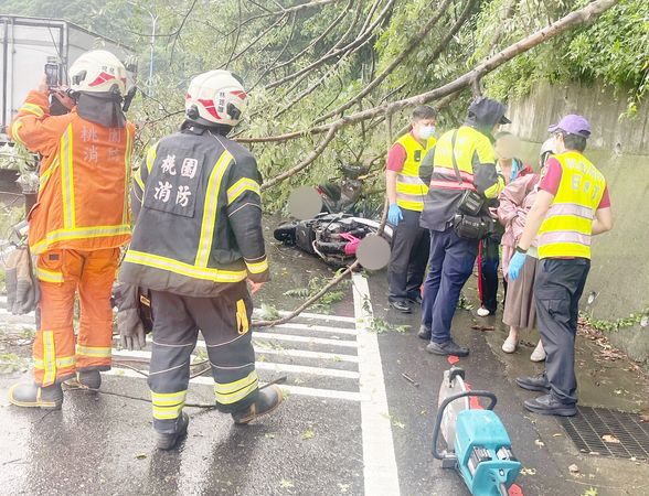 ▲桃園市龜山區萬壽路今天傍晚大雨導致土石鬆動路樹下滑壓傷2名騎士，警方與消防人員到場處理。（圖／龜山警方提供）