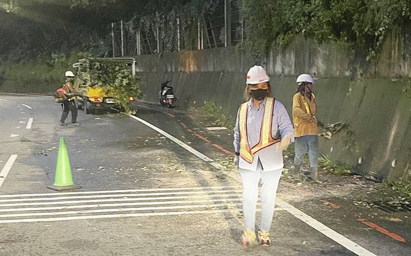 ▲桃園市龜山區萬壽路今天傍晚大雨造成土石鬆動，路樹下滑壓傷路過2名騎士，公路總局中壢工務段人員完成路面障礙物清除。（圖／龜山警方提供）