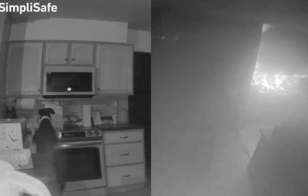 男睡醒發現住家被火燒　調監視器看到「凶手模樣」嚇：竟然是牠。（圖／翻攝自X）
