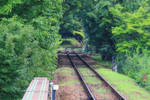 ▲▼嵐山小火車原本就是我的口袋名單，之前帶小櫻桃到嵐山旅遊的時候，因為沒有提早預約所以沒有搭到，這次算是意外的收獲！。（圖／部落客飛天璇的口袋授權提供，勿擅自翻攝）