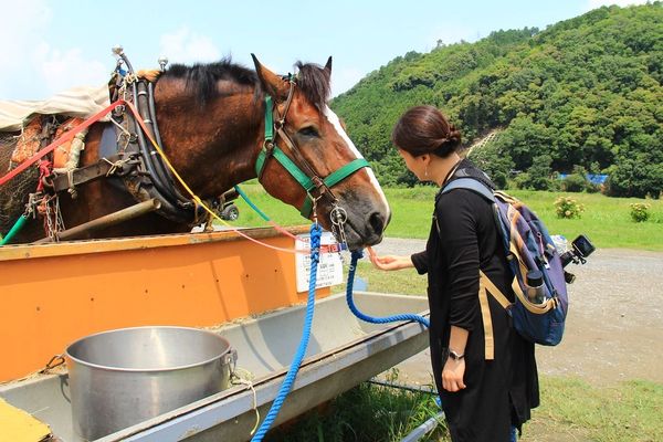 ▲▼嵐山小火車原本就是我的口袋名單，之前帶小櫻桃到嵐山旅遊的時候，因為沒有提早預約所以沒有搭到，這次算是意外的收獲！。（圖／部落客飛天璇的口袋授權提供，勿擅自翻攝）