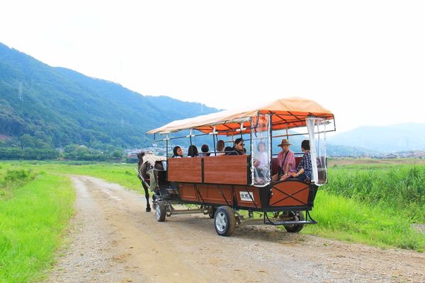 ▲▼嵐山小火車原本就是我的口袋名單，之前帶小櫻桃到嵐山旅遊的時候，因為沒有提早預約所以沒有搭到，這次算是意外的收獲！。（圖／部落客飛天璇的口袋授權提供，勿擅自翻攝）