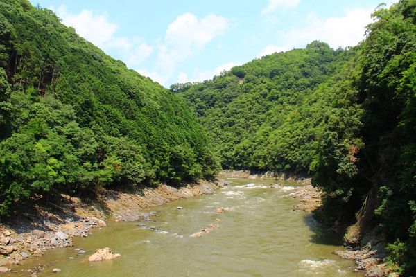 ▲▼嵐山小火車原本就是我的口袋名單，之前帶小櫻桃到嵐山旅遊的時候，因為沒有提早預約所以沒有搭到，這次算是意外的收獲！。（圖／部落客飛天璇的口袋授權提供，勿擅自翻攝）