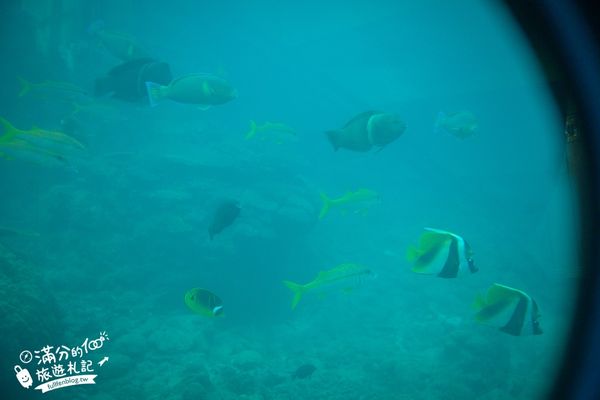 ▲▼沖繩海中展望塔，部瀬名海中公園必玩360環景圓窗看魚、海底玻璃船，沖繩雨天備案景點。（圖／滿分提供）