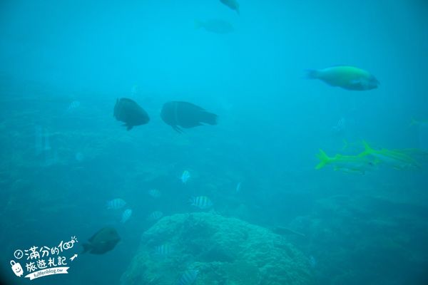 ▲▼沖繩海中展望塔，部瀬名海中公園必玩360環景圓窗看魚、海底玻璃船，沖繩雨天備案景點。（圖／滿分提供）