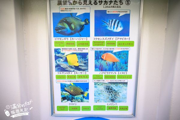 ▲▼沖繩海中展望塔，部瀬名海中公園必玩360環景圓窗看魚、海底玻璃船，沖繩雨天備案景點。（圖／滿分提供）