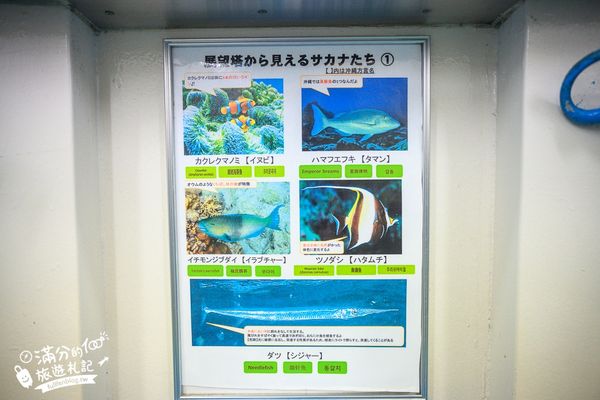 ▲▼沖繩海中展望塔，部瀬名海中公園必玩360環景圓窗看魚、海底玻璃船，沖繩雨天備案景點。（圖／滿分提供）