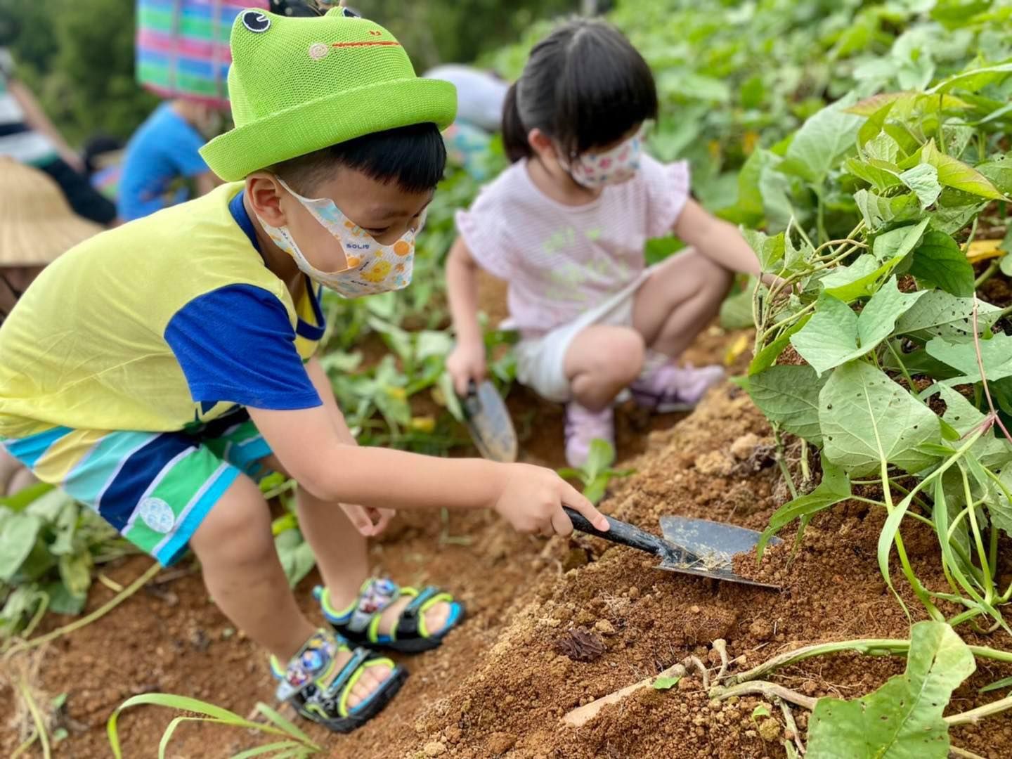 ▲新北遠足生態農場觀賞葉鼻蝠。（圖／新北市農業局提供）