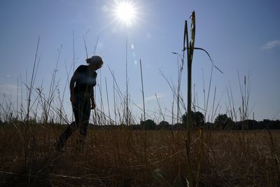 2024全球增溫「突破1.5℃大關」　凸顯氣候變遷衝擊全世界