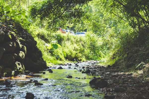 ▲▼走進山城體驗，南投埔里兩日遊，必吃埔里美食、必遊埔里景點、攻略一次懂。（圖／黑皮提供）