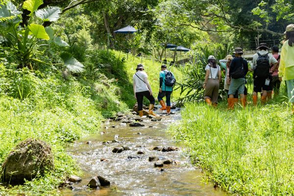 ▲▼走進山城體驗，南投埔里兩日遊，必吃埔里美食、必遊埔里景點、攻略一次懂。（圖／黑皮提供）