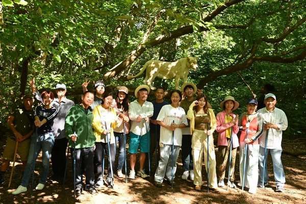 ▲跟獅子走路？桃園美女網友分享新奇旅程