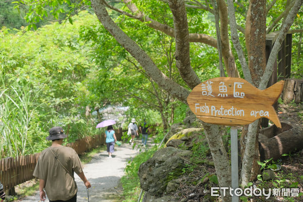 ▲阿里山鄉山美部落「達娜伊谷」,「鯝事的起源」,嘉義旅遊,阿里山。（圖／記者彭懷玉攝）