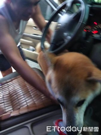 ▲▼是冷氣！校犬直衝駕駛座　被架住「擠雙下巴掙扎」：我不要下車。（圖／Threads@jia._177授權提供）