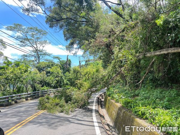 ▲三地門鄉台24線23.5公里處路樹倒塌             。（圖／記者陳崑福翻攝）