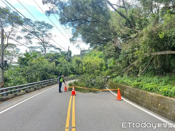 ▲三地門鄉台24線23.5公里處路樹倒塌             。（圖／記者陳崑福翻攝）