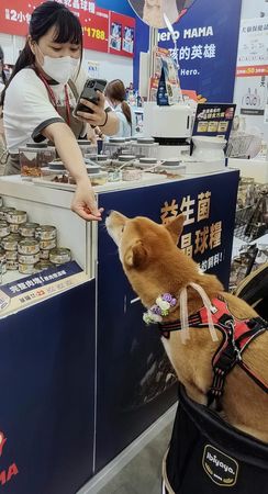 ▲▼寵物展吃爆零食　推車探出「長頸鹿柴柴」伸脖子找小姐姐：真香。（圖／有點毛毛的／網友吳芸甄投稿）