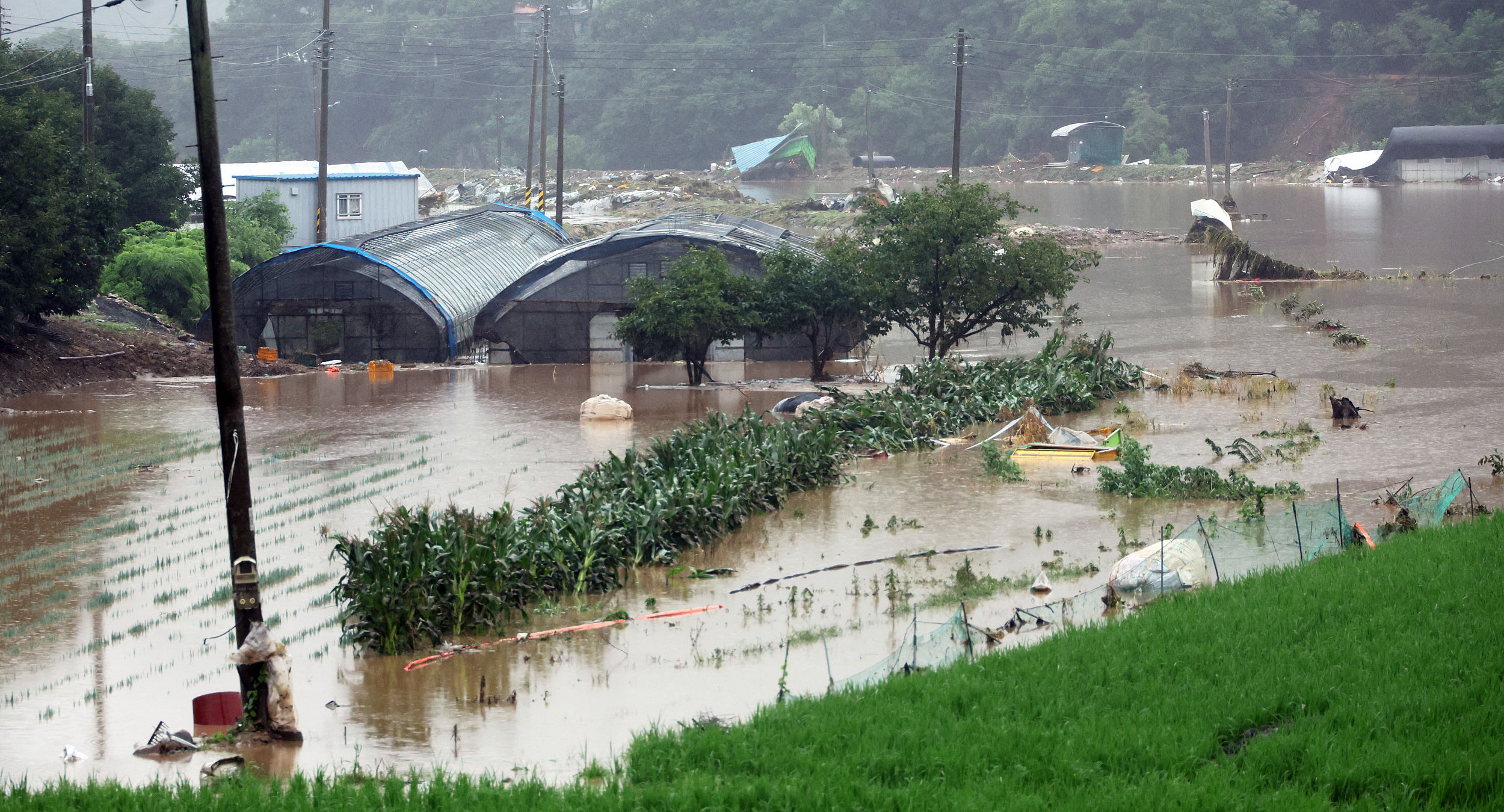 ▲▼南韓10日凌晨暴雨來襲，全羅北道完州郡農田和溫室慘遭洪水淹沒。（圖／VCG）