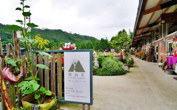 ▲▼桃園人的秘境，舊雞舍改建的多肉植物園餐廳。（圖／部落客Mika提供）