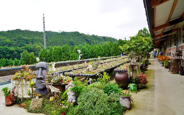 ▲▼桃園人的秘境，舊雞舍改建的多肉植物園餐廳。（圖／部落客Mika提供）